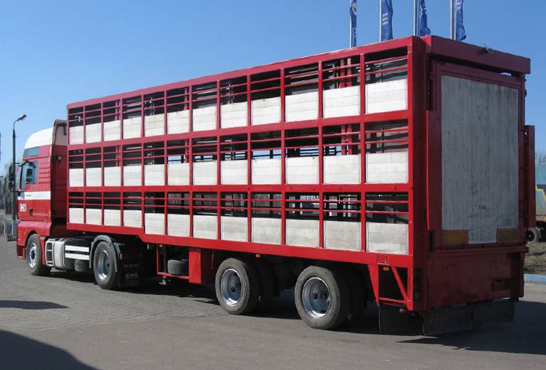 Доставка крупного рогатого скота из Улан-удэ в Зеленогорск красноярский край